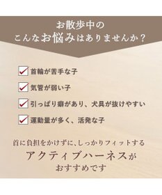 PET PARADISE ペットパラダイス くまちゃん アクティブハーネス ＳＭ 中型犬