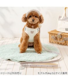 PET PARADISE ペットパラダイス くまちゃん チャームリード ４Ｓ～３Ｓ