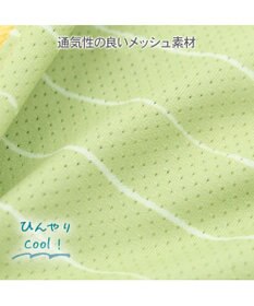 PET PARADISE ペットパラダイス 恐竜 ボーダー エコメイド タンクトップ 中型犬 大型犬