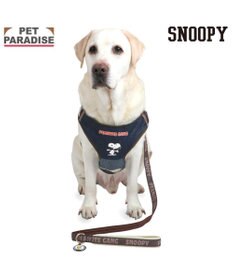 PET PARADISE スヌーピー ハーネス＆リード 《ワッペン柄》 Ｌ 大型犬