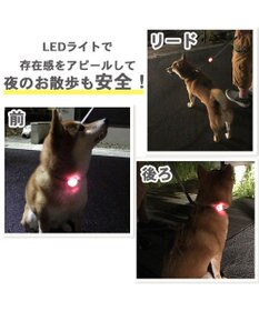 PET PARADISE ペットパラダイス 苺柄 ＬＥＤ お散歩ライト