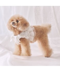 PET PARADISE cherircouture フリフリハーネス 《ホワイト》 小型犬 ＳＳ