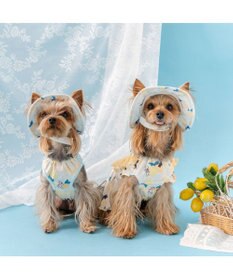 PET PARADISE リサとガスパール エコメイド シトラス タンクトップ 小型犬