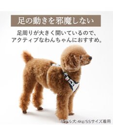 PET PARADISE リサとガスパール アクティブハーネス 《三角柄》 ３Ｓ 小型犬