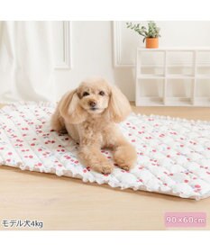 PET PARADISE ペットパラダイス クールマット 《苺花柄》 Ｍ