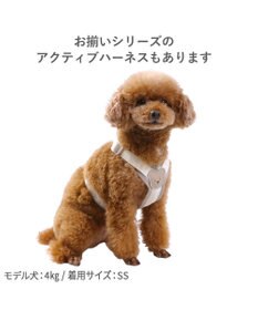PET PARADISE ペットパラダイス くまちゃん ショルダーリード SS～Ｓ 小型犬