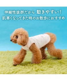 PET PARADISE ペットパラダイス ペティヒート天竺 タンクトップ 《さくらんぼ柄》 超小型犬 小型犬