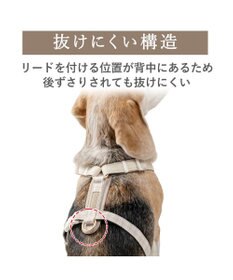 PET PARADISE ペットパラダイス くまちゃん アクティブハーネス ＳＭ 中型犬