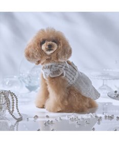 PET PARADISE cherircouture シースルーリボン ワンピース 小型犬