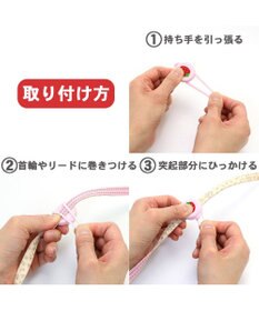 PET PARADISE ペットパラダイス 苺柄 ＬＥＤ お散歩ライト