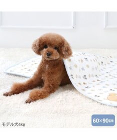 PET PARADISE ディズニー ミッキーマウス ブランケット 《パン柄》