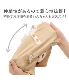 PET PARADISE ペットパラダイス  くまちゃん プレミアム ペティヒート お顔 Tシャツ 小型犬
