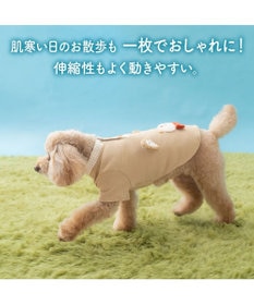 PET PARADISE ペットパラダイス  くまちゃん プレミアム ペティヒート お顔 Tシャツ 小型犬