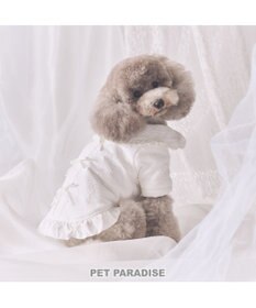 PET PARADISE cherircouture ジャガードコート 小型犬