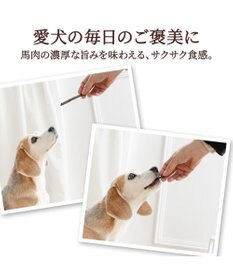 PET PARADISE 馬肉 細切り 100g・国産 大袋