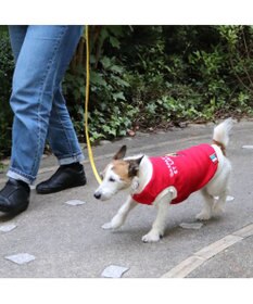 PET PARADISE 犬 服 リサとガスパール トレーナー 【小型犬】 ワンダフルストレッチ パン柄