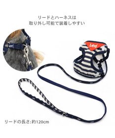 PET PARADISE Lee ハーネス＆リード 《ボーダー》 Ｓ 小型犬