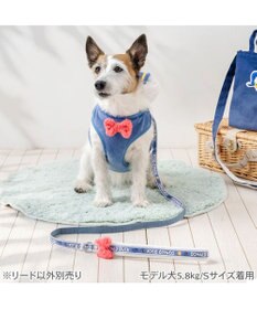 PET PARADISE ディズニー ドナルドダック リード ＳＳ～Ｓ