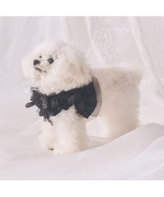 PET PARADISE cherircouture フリフリハーネス 《ブラック》 小型犬 Ｓ