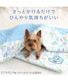 PET PARADISE スヌーピー もちっと クール ブランケット 《サーフ柄》