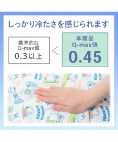 PET PARADISE スヌーピー もちっと クール ブランケット 《サーフ柄》