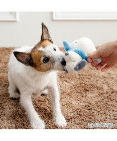 PET PARADISE スヌーピー 雪だるまトイ 青マフラー