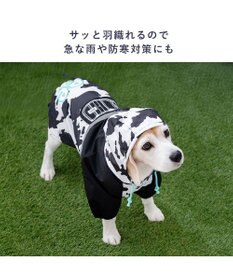 PET PARADISE Lee レインコート 《牛柄》 中型犬 大型犬