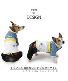 PET PARADISE Ｌｅｅ キャミソール ブラック デニム  パンツつなぎ 【小型犬】