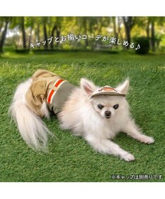 PET PARADISE ペットパラダイス マナーパンツ 小型犬
