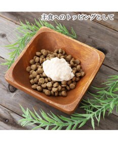 PET PARADISE リアルフードスティック プレーン 10g×8本 国産