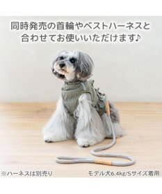 PET PARADISE ペットパラダイス ロープ リード グレー　４Ｓ～３Ｓ