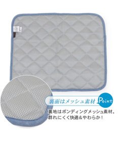 PET PARADISE 犬 クール マット 冷感 柔らか クールマット (48×40cm) 苺 くまちゃん ネイティブ 接触冷感 ひんやり ペット