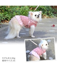 PET PARADISE ペットパラダイス アウター ハーネス ベスト 《フリル》 小型犬