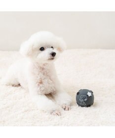 PET PARADISE スヌーピー ラテクスボール 《スヌーピー》