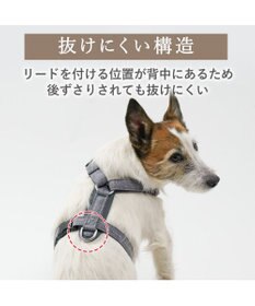 PET PARADISE ペットパラダイス アクティブハーネス 杢調 ＳＳ 小型犬