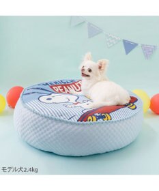 PET PARADISE 【8月初旬お届け】スヌーピー スケボークッション Ｍ