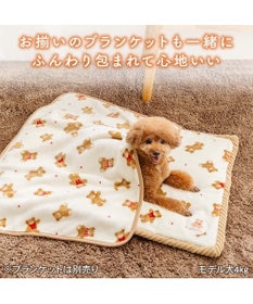 PET PARADISE ペットパラダイス くまちゃん ほっこり 遠赤外線 マット