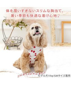 PET PARADISE ペットパラダイス スリム ハーネス＆リード 《苺総柄》 ＳＭ 中型犬