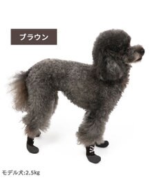 PET PARADISE ペットパラダイス フィットシューズ 【３Ｓ】 グリーン ブラウン