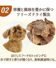 PET PARADISE  フリーズドライ  鶏レバー 40g 国産