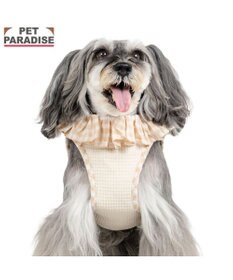 PET PARADISE ペットパラダイス くまちゃん ピエロ襟ベストハーネス ＳＳ