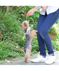 PET PARADISE スヌーピー リード&ハーネス 《パーティ柄》 S 小型犬