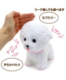 Mother garden  マザーガーデン とことこおさんぽシリーズ  《 ビション 白 》 単品