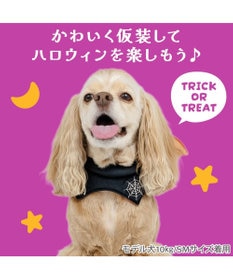 PET PARADISE ペットパラダイス コウモリチョーカー 中型犬 大型犬