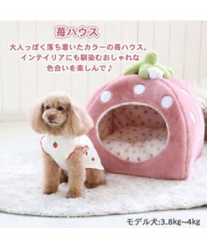 PET PARADISE ペットパラダイス くすみ苺  ハウス L  (45×45×46cm) 小型犬