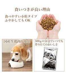 PET PARADISE ビオキッチン エイジングネオ １ｋｇ