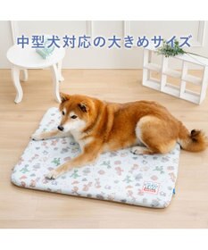 PET PARADISE ディズニー トイ・ストーリー もちっと クール マット Ｍ  《総柄》
