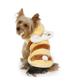 PET PARADISE ペットパラダイス パーカー 《蜂 なりきり》 小型犬