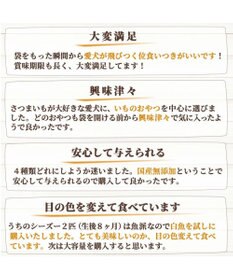 PET PARADISE ペットパラダイス 犬 おやつ デリスタイル8種類 ヘルシー系セット