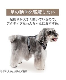 PET PARADISE Lee ロゴアクティブ ハーネス Ｓ